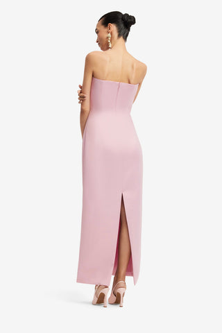 Rayna Embroidered Bustier Maxi Dress - Bouquet Print in Pastel Pink Dress Maxi