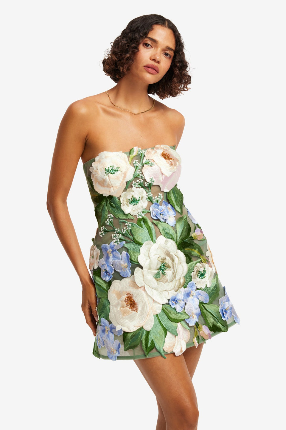 Exclusive LEO LIN Roselle Floral Hand-Embroidered Bustier Mini Dress - Blossom