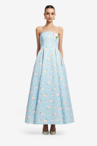 Nora Bustier Maxi Dress - Ditsy Floral Print in Blue Dress Maxi
