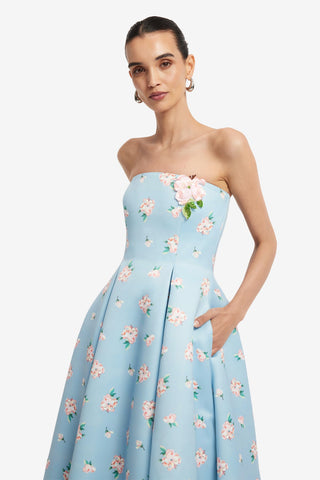 Nora Bustier Maxi Dress - Ditsy Floral Print in Blue Dress Maxi