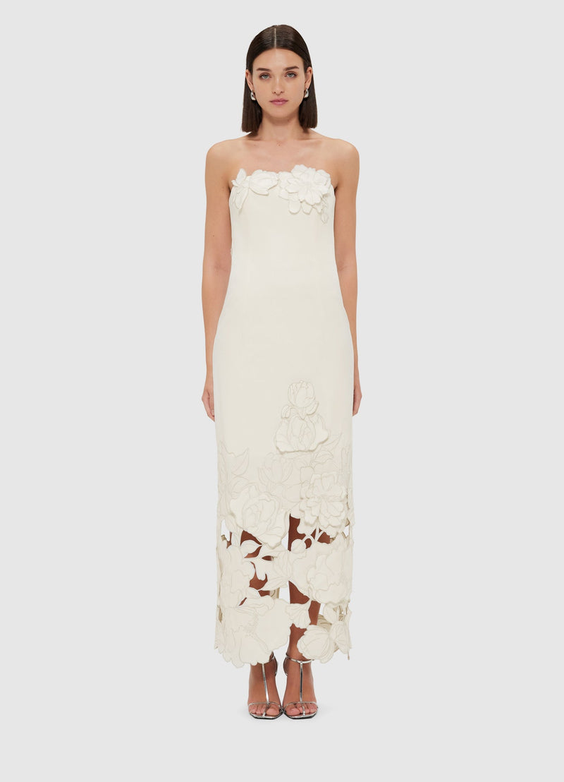 Rayna Embellished Bustier Maxi Dress in Pink