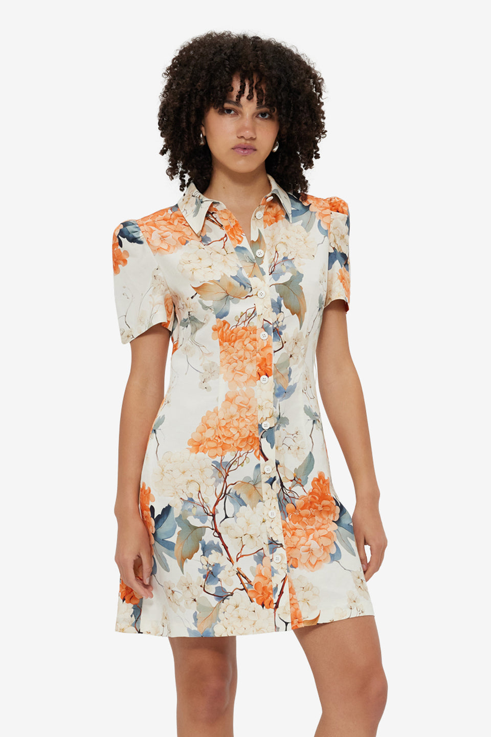 Exclusive Leo Lin Bronte Mini Dress - Hydrangea Print in Vanilla