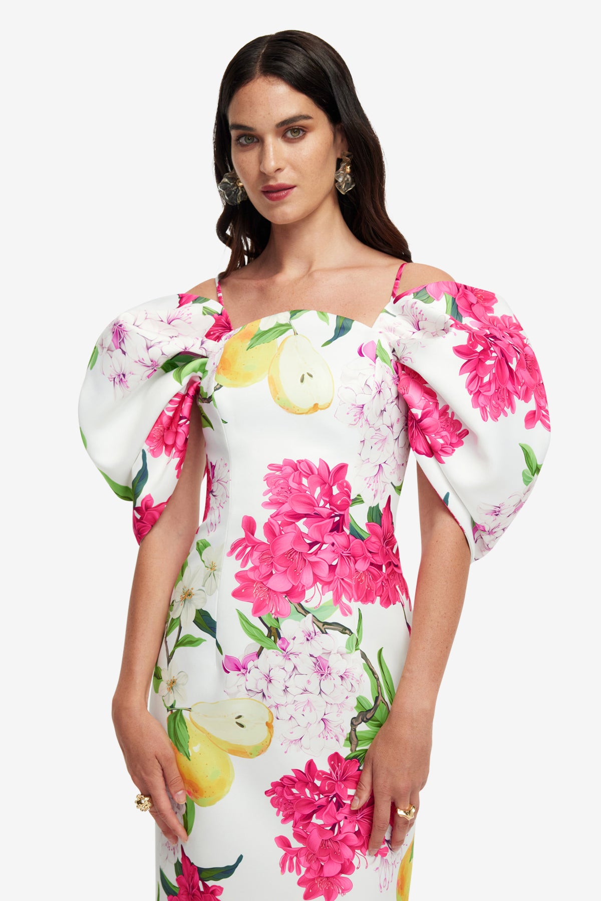 Arabella Maxi Dress - Floral Pear Print – LEO LIN