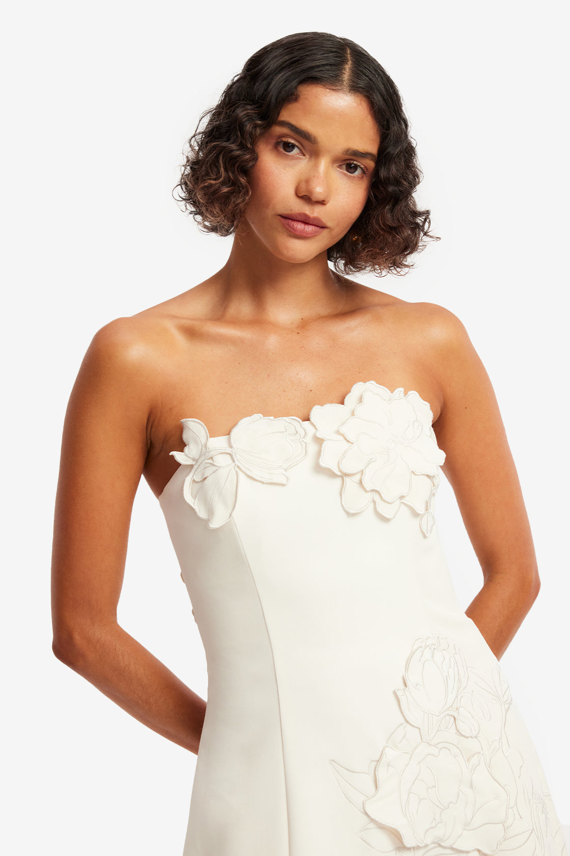 ayla mini dress Ayla Appliqu Bustier Mini Dress