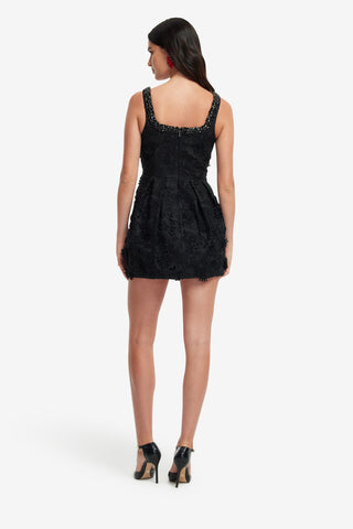Exclusive LEO LIN Piper Lace Mini Dress - Ebony