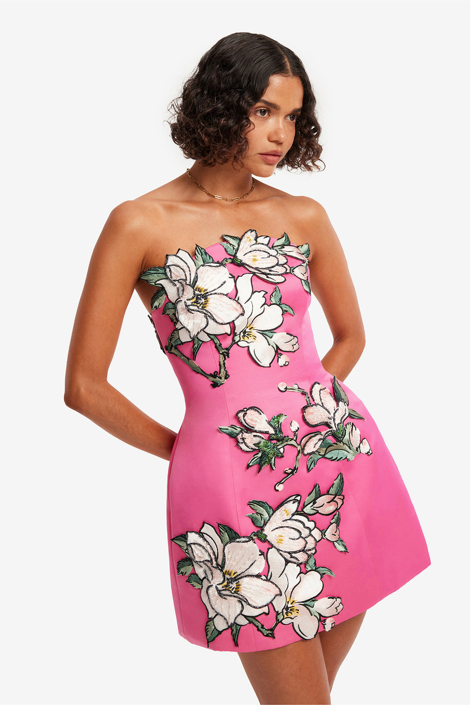 Exclusive LEO LIN Zaria Appliqué Floral Bustier Mini Dress - Pink Magnolia Print