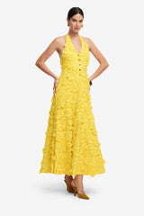 Juliette Lace Halterneck Maxi Dress - Sunshine Dress Maxi