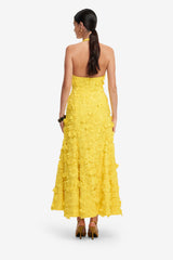 Juliette Lace Halterneck Maxi Dress - Sunshine Dress Maxi