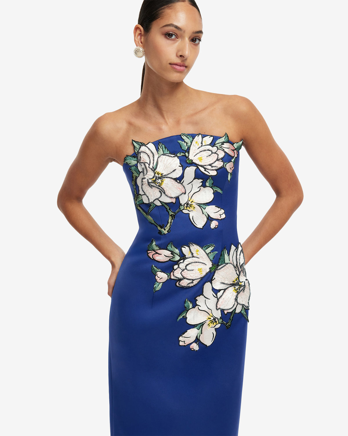 Ava Appliqu Floral Bustier Maxi Dress - Midnight Ava Appliqu Floral Bustier Maxi Dress - Midnight