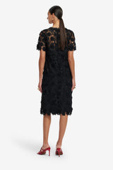 Sheridan Lace Midi Dress - Ebony Dress Midi