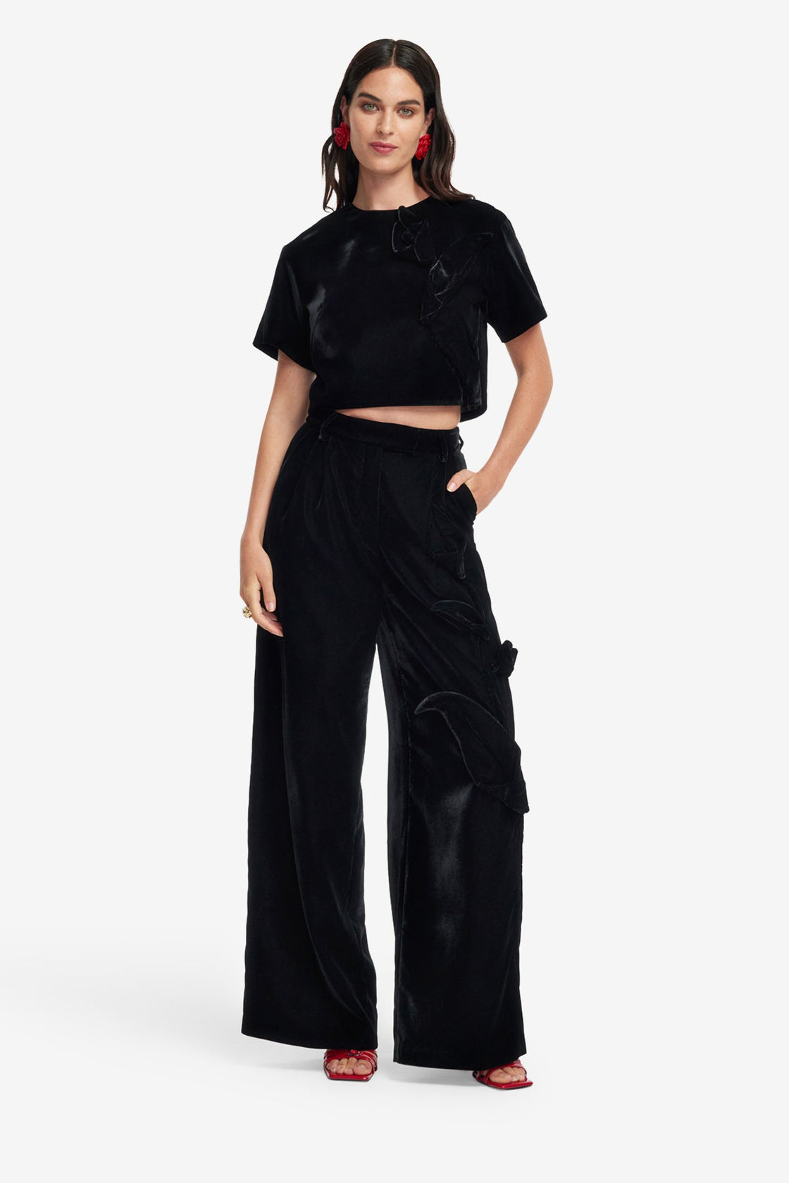 Exclusive LEO LIN Elisha Velvet Wide Leg Pants - Ebony
