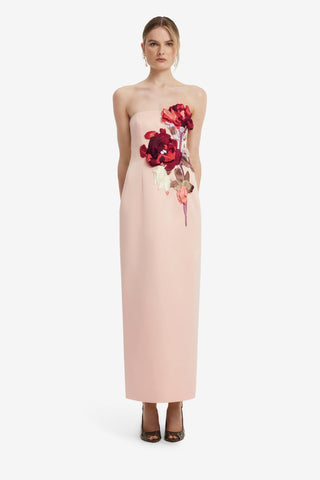 Rayna Embroidered Bustier Maxi Dress - Reverie Print in Nectar Dress Maxi