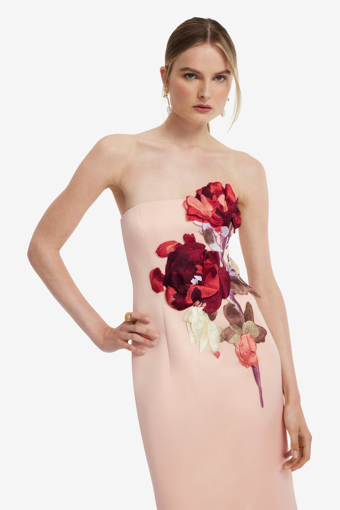 Rayna Embroidered Bustier Maxi Dress - Reverie Print in Nectar Dress Maxi