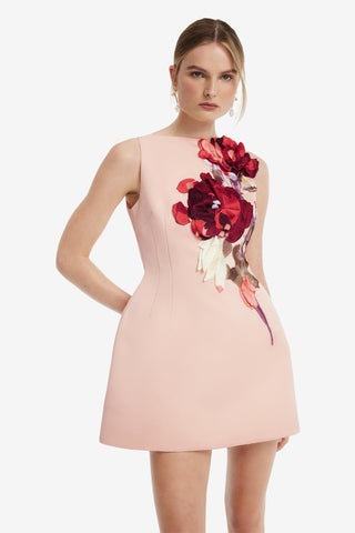 Ali Embroidered Boat Neck Mini Dress - Reverie Print Dress Mini