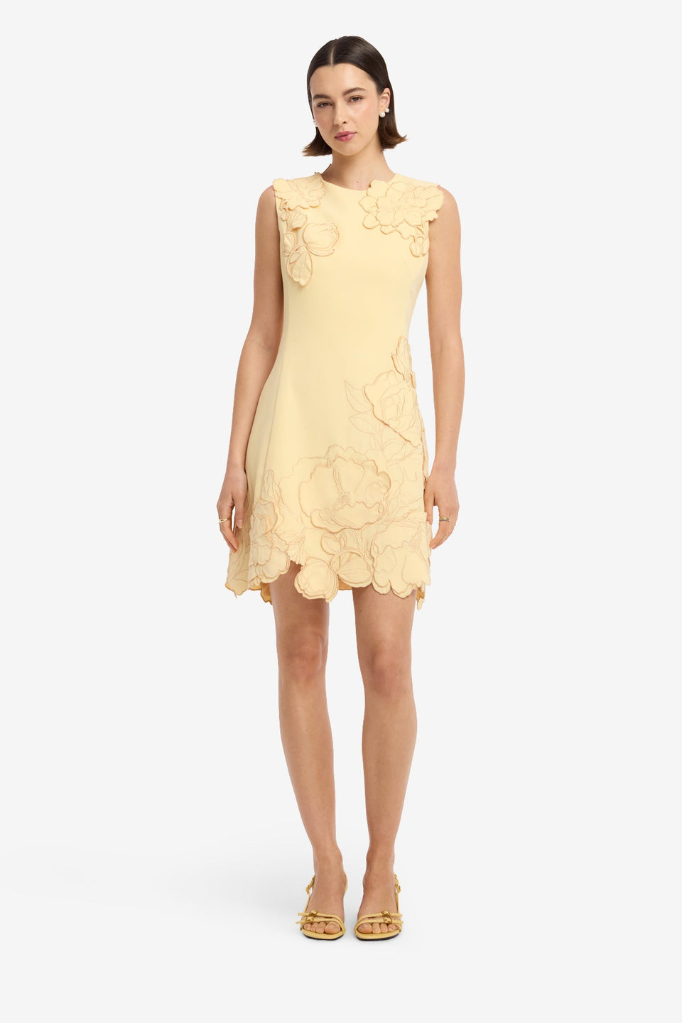 Chloe Applique Sleeveless Mini Dress - Butter Dress Mini