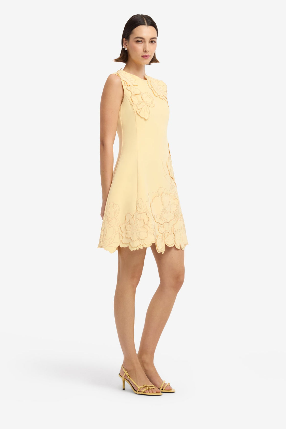 Chloe Applique Sleeveless Mini Dress - Butter Dress Mini