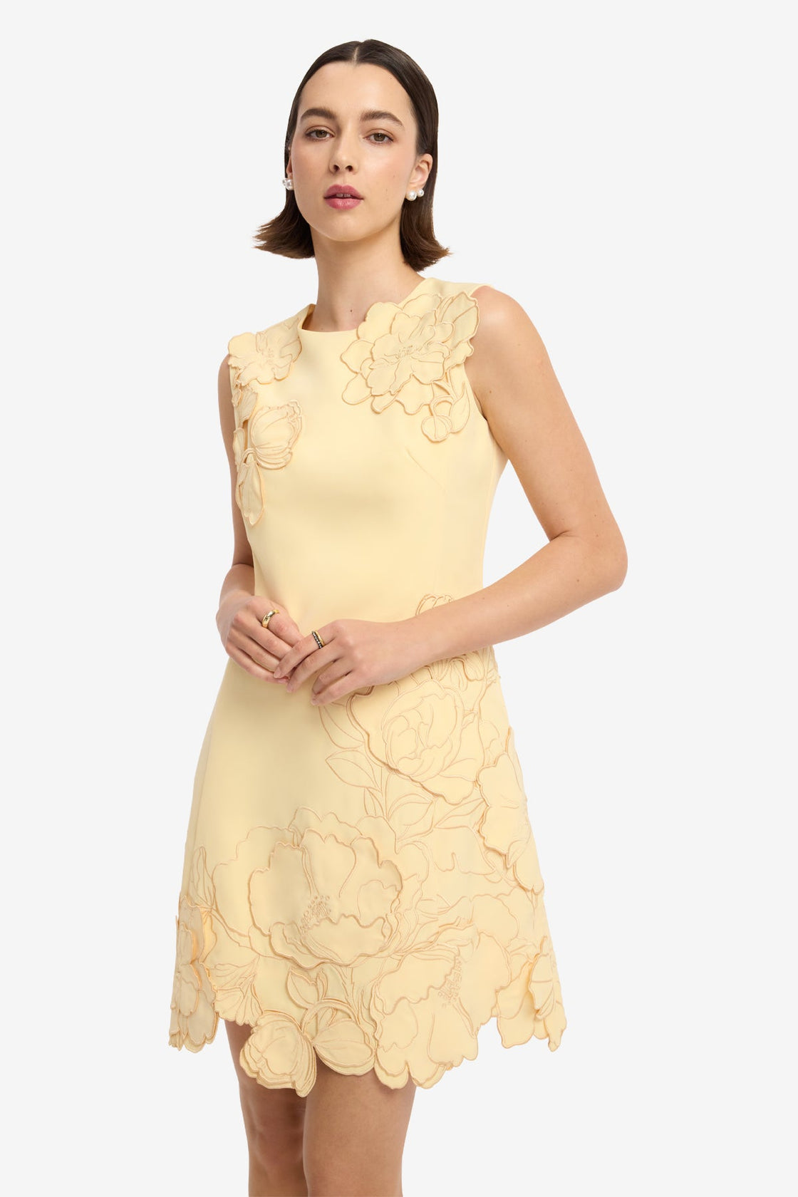 Chloe Applique Sleeveless Mini Dress - Butter Dress Mini