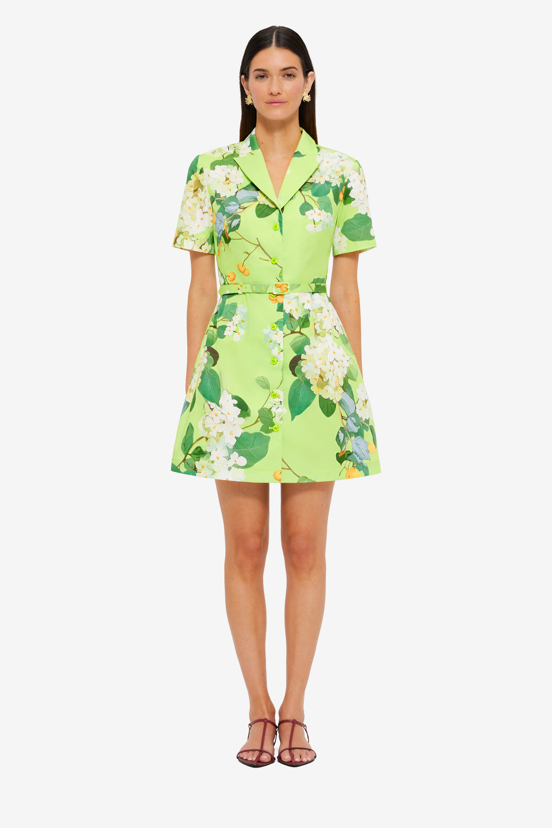 Exclusive LEO LIN Brigitte Mini Dress - Hydrangea in Lime