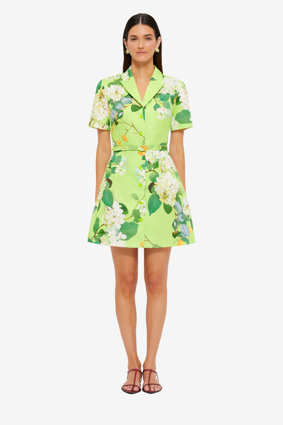 Exclusive LEO LIN Brigitte Mini Dress - Hydrangea in Lime