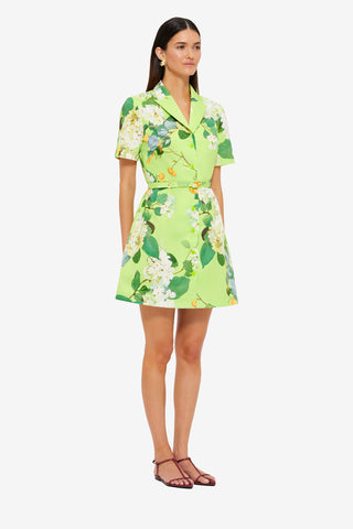 Exclusive LEO LIN Brigitte Mini Dress - Hydrangea in Lime