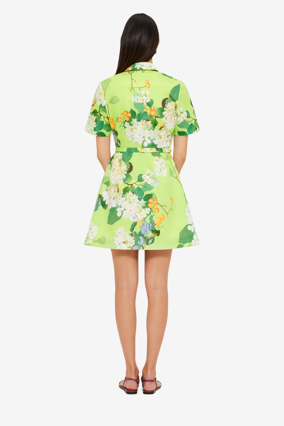 Exclusive LEO LIN Brigitte Mini Dress - Hydrangea in Lime