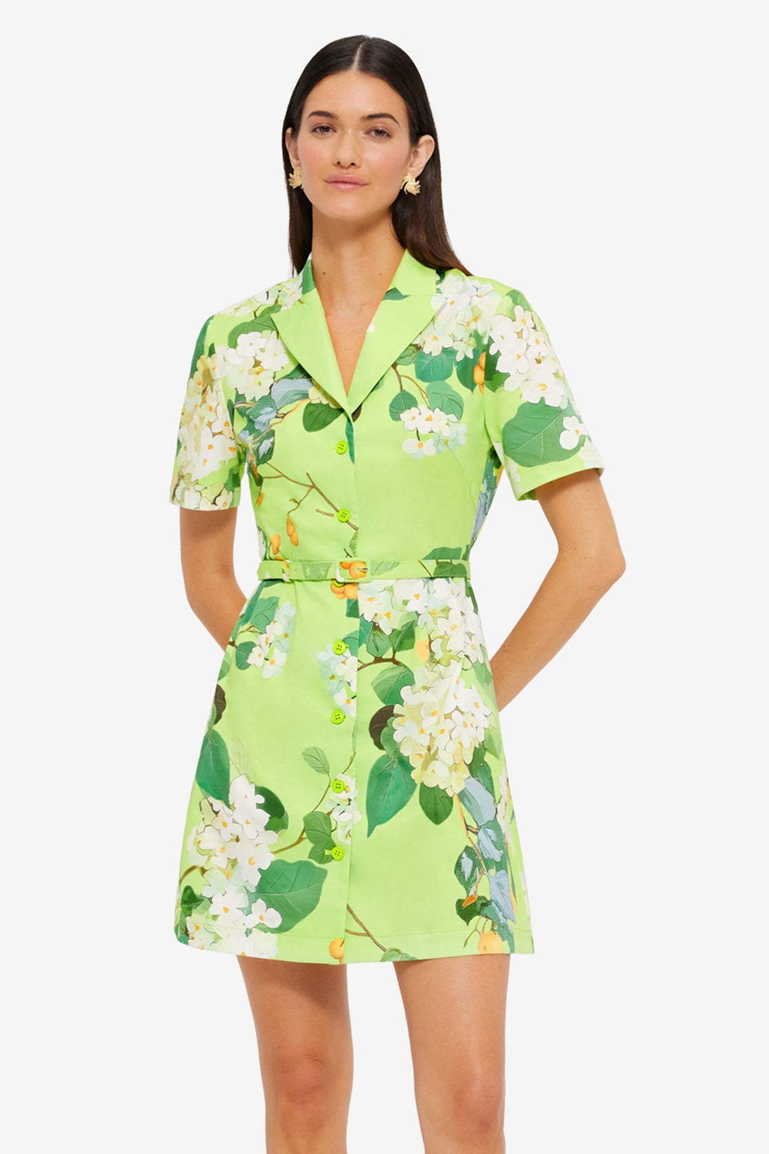 Exclusive LEO LIN Brigitte Mini Dress - Hydrangea in Lime