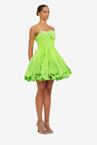 Exclusive LEO LIN Skye Appliqué Bustier Mini Dress - Lime