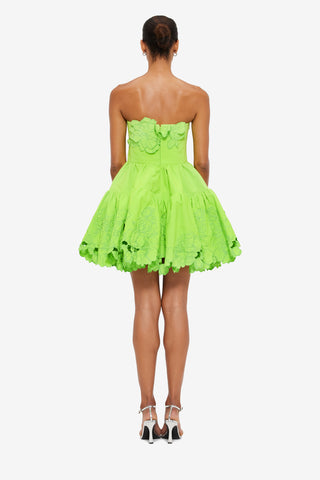 Exclusive LEO LIN Skye Appliqué Bustier Mini Dress - Lime
