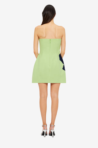 Exclusive LEO LIN Roselle Embroidered Bustier Mini Dress - Hibiscus in Matcha