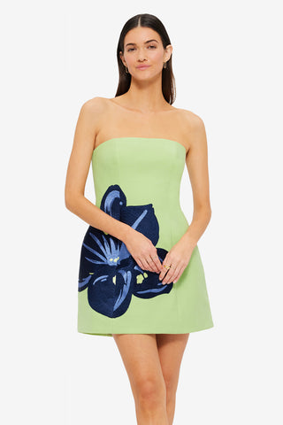 Exclusive LEO LIN Roselle Embroidered Bustier Mini Dress - Hibiscus in Matcha