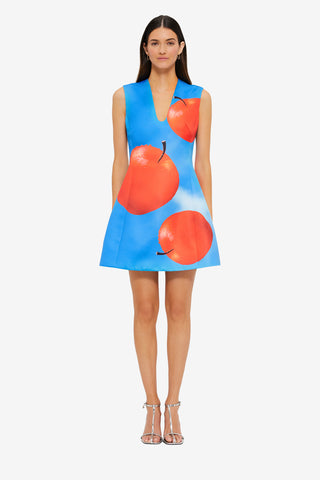 Exclusive LEO LIN Alexa T-Shirt Mini Dress - Apple Print