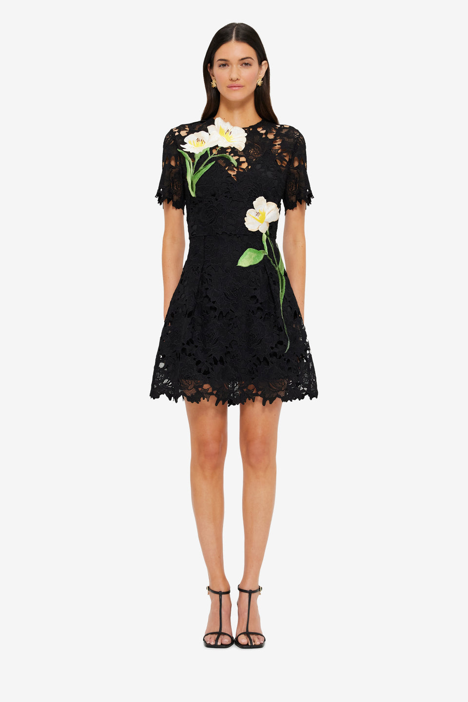 Exclusive LEO LIN Margot Embroidered Lace Mini Dress Ebony
