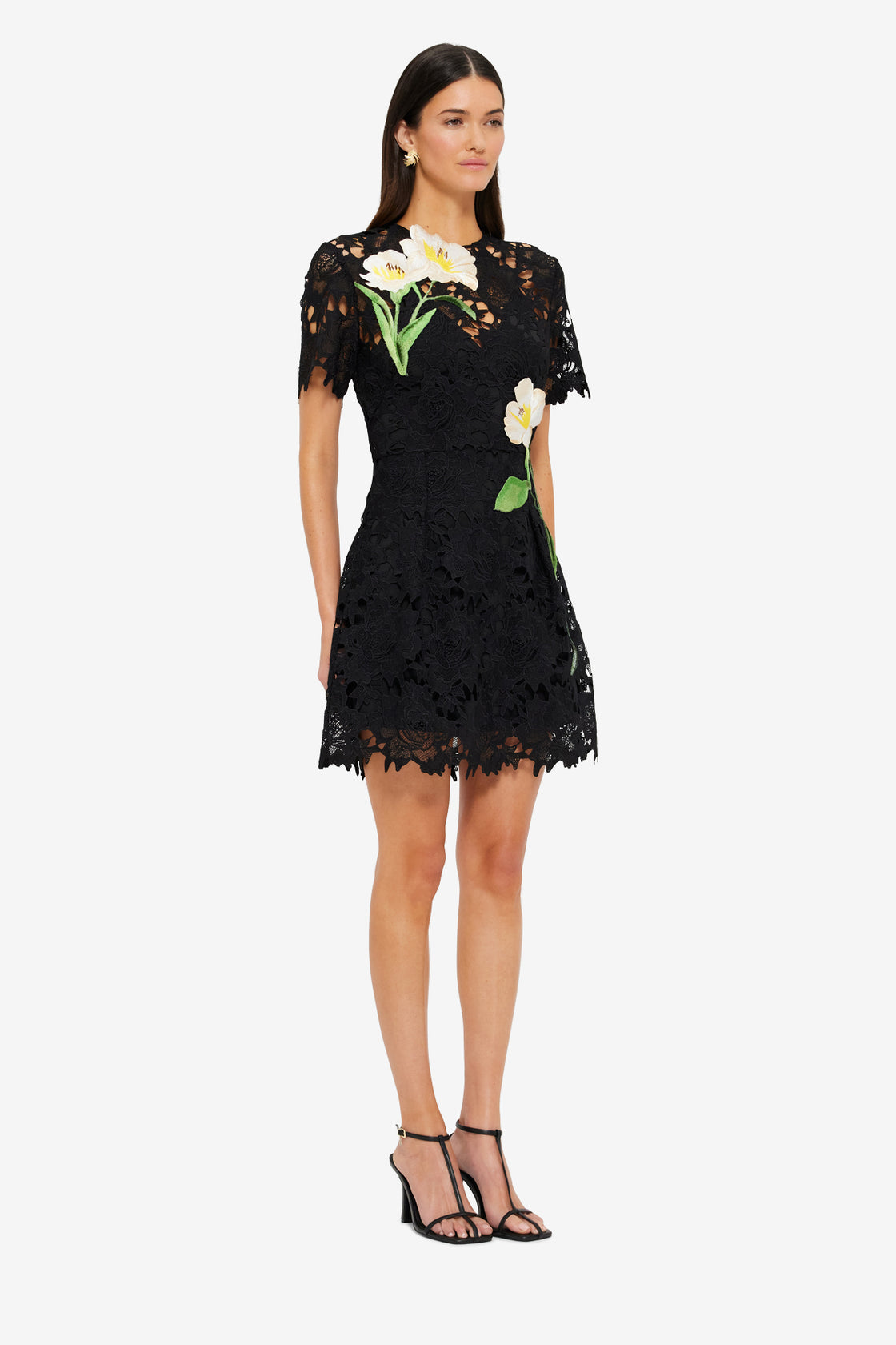 Exclusive LEO LIN Margot Embroidered Lace Mini Dress Ebony