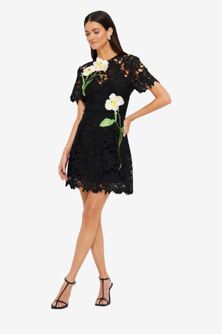 Exclusive LEO LIN Margot Embroidered Lace Mini Dress Ebony