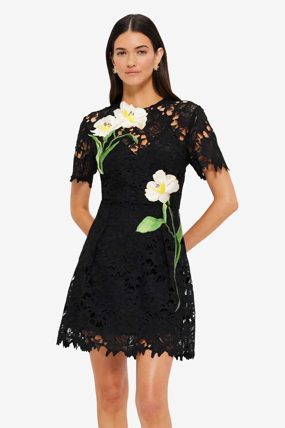 Exclusive LEO LIN Margot Embroidered Lace Mini Dress Ebony