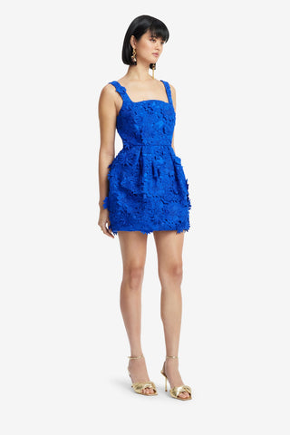 Exclusive LEO LIN Piper Lace Mini Dress - Lapis