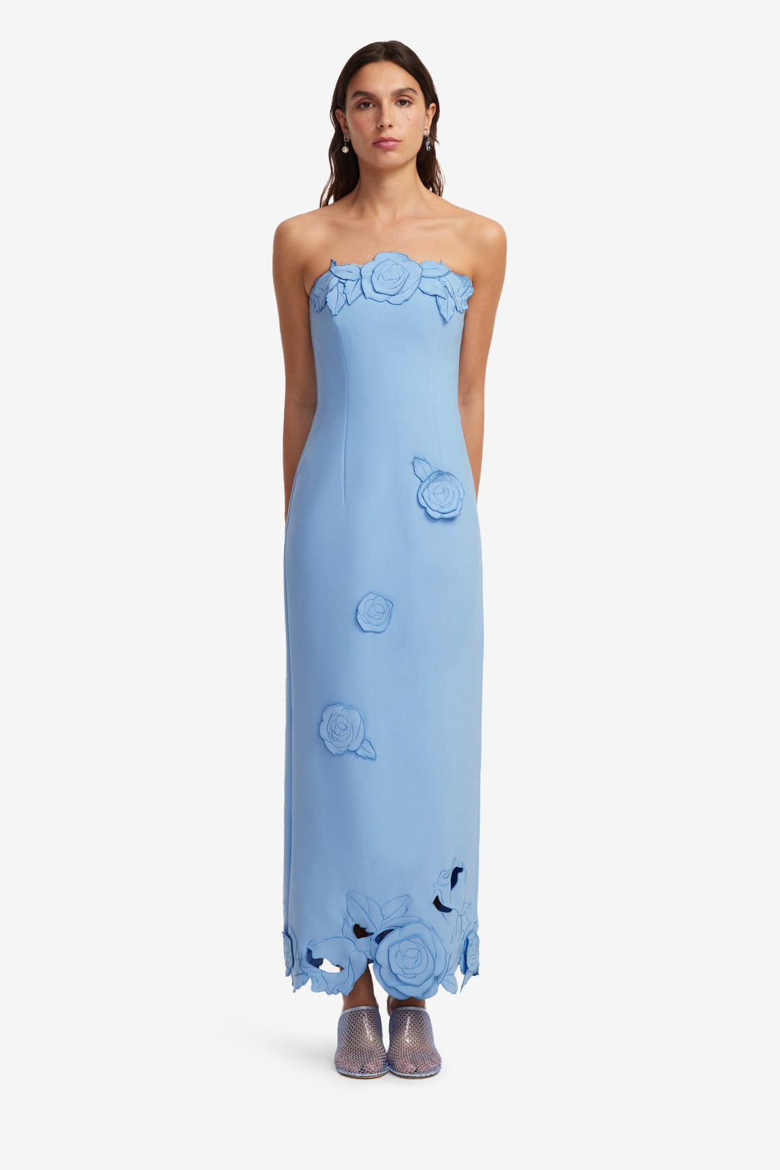 Rayna Appliqu Bustier Maxi Dress - Pastel Blue Rayna Appliqu Bustier Maxi Dress - Pastel Blue