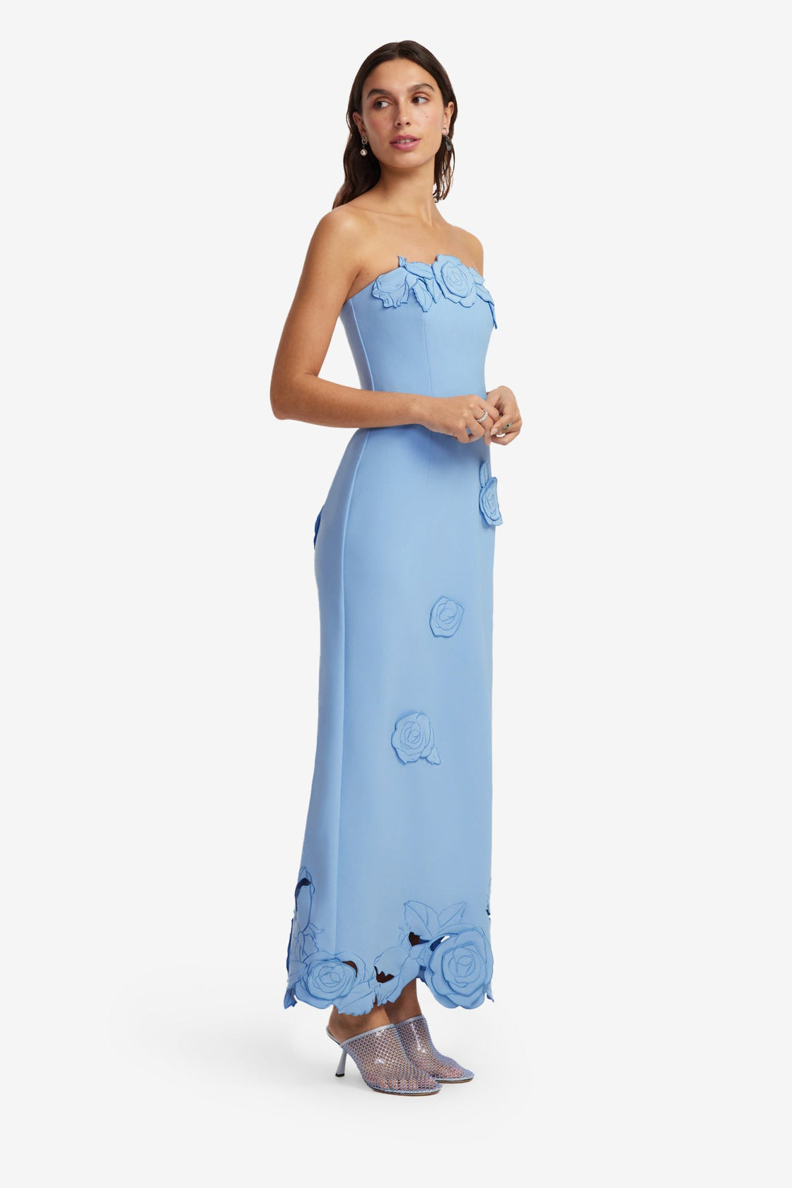 light blue dress maxi Rayna Appliqué Bustier Maxi Dress