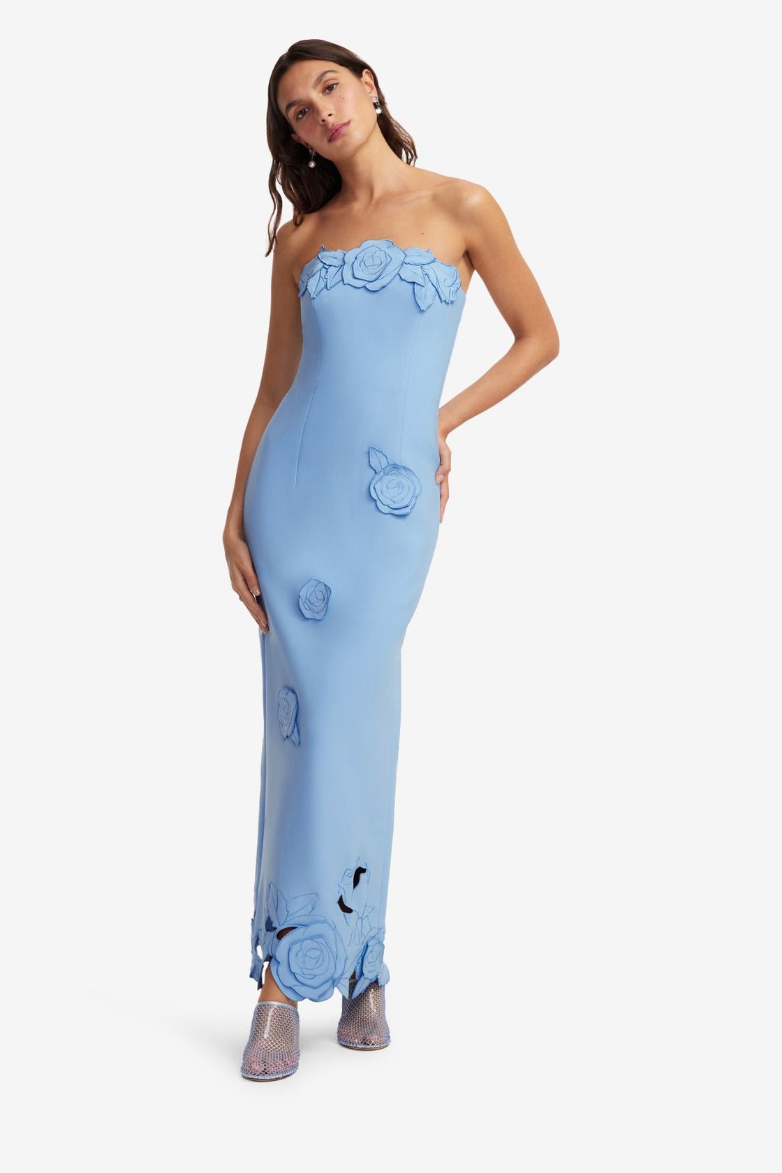 Rayna Appliqu Bustier Maxi Dress - Pastel Blue LEO LIN Rayna Appliqu Bustier Maxi Dress - Pastel Blue LEO LIN