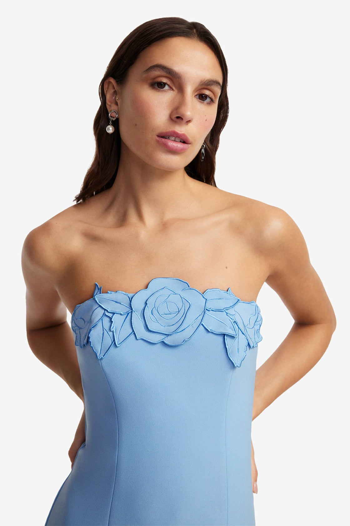 Exclusive LEO LIN Rayna Appliqué Bustier Maxi Dress - Pastel Blue