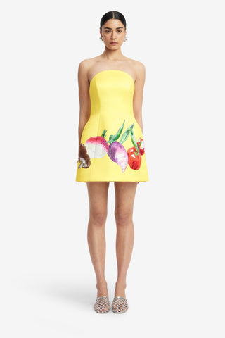Exclusive LEO LIN Zaria Bustier Mini Dress - Harvest Print