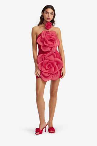 Floret Mini Dress - Scarlet Dress Mini