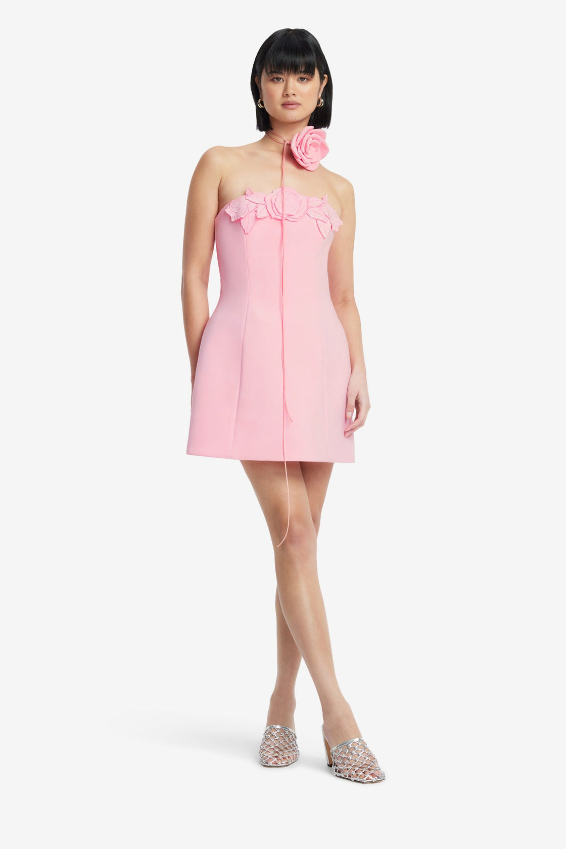 Roselle Appliqu Bustier Mini Dress - Blush Pink Roselle Appliqu Bustier Mini Dress - Blush Pink