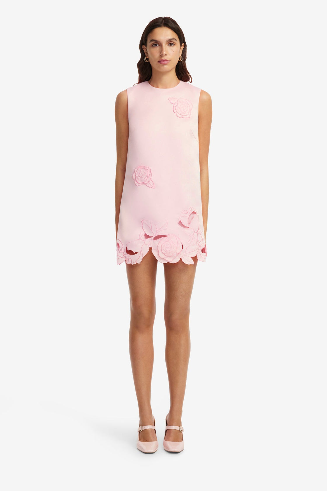 Yvonne Appliqu Mini Dress - Blush Pink Yvonne Appliqu Mini Dress - Blush Pink