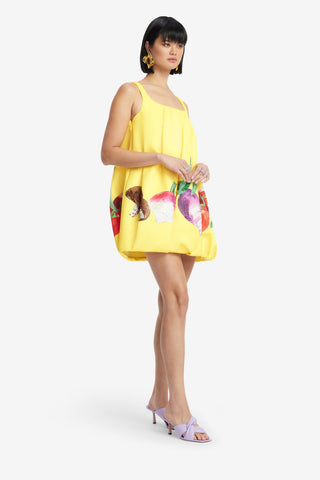 Exclusive LEO LIN Suki Puff Mini Dress - Harvest Print