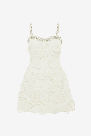 Sophia Embellished Lace Mini Dress - Snow Dress Mini