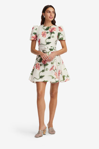 Elyse Short Sleeve Mini Dress - Vine Print in Snow Dress Mini