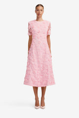 Caroline Lace Short Sleeves Midi Dress - Blush Pink Dress Midi
