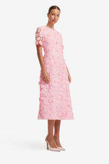 Caroline Lace Short Sleeves Midi Dress - Blush Pink Dress Midi