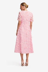 Caroline Lace Short Sleeves Midi Dress - Blush Pink Dress Midi